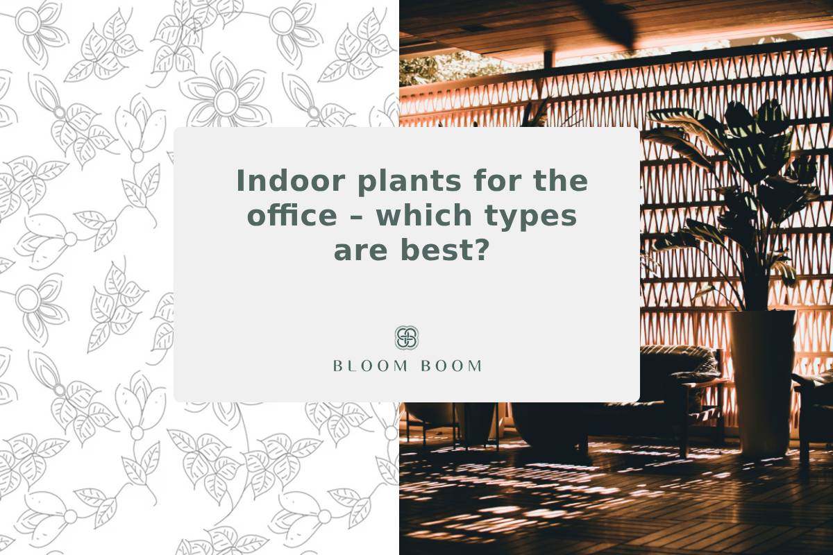 Indoor plants for the office – which types are best?