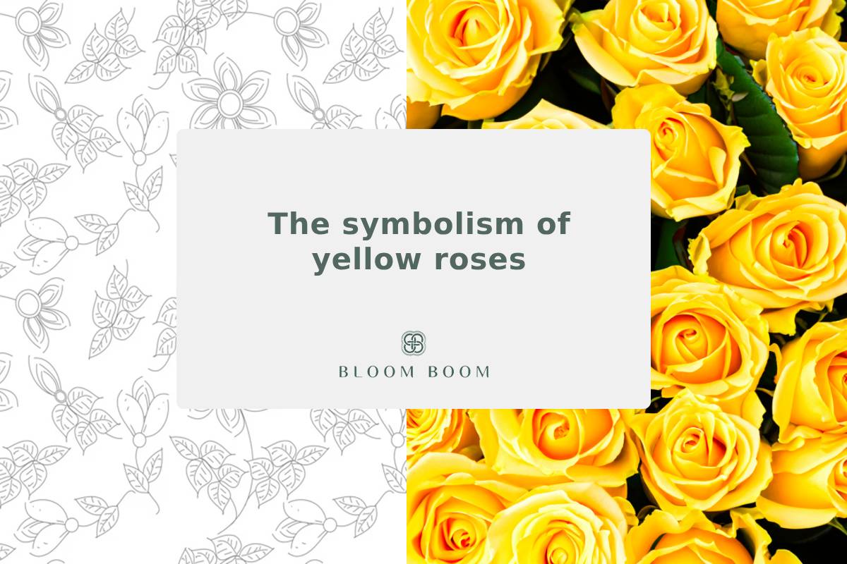 The symbolism of yellow roses
