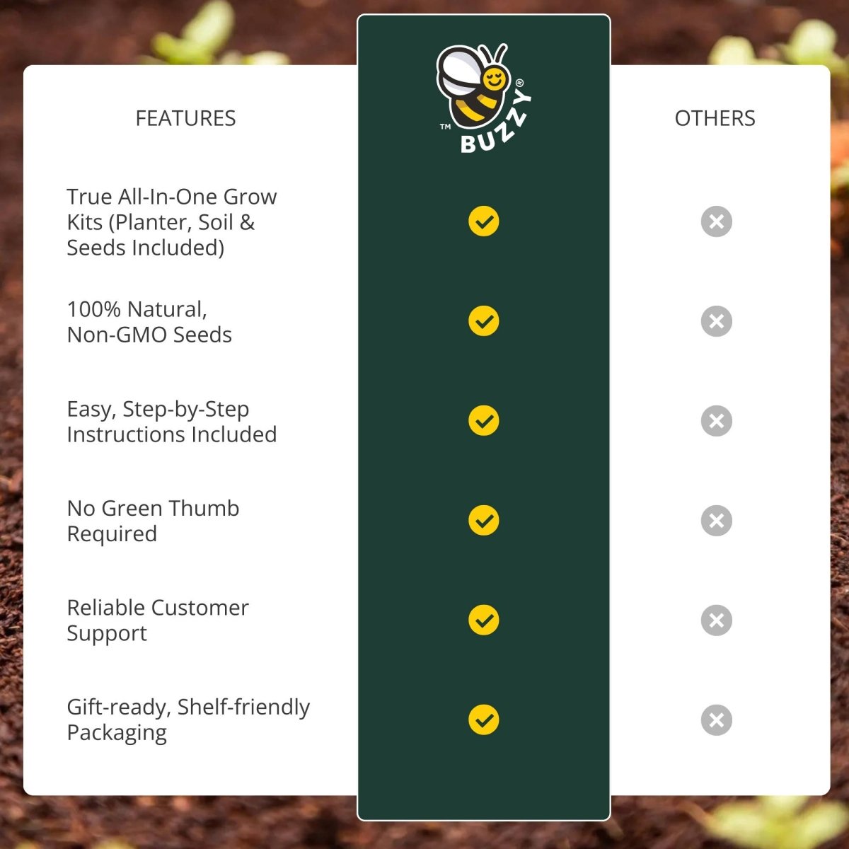 Egg Carton “It's Spring” – 6 Wildflower Seed Bombs Gift