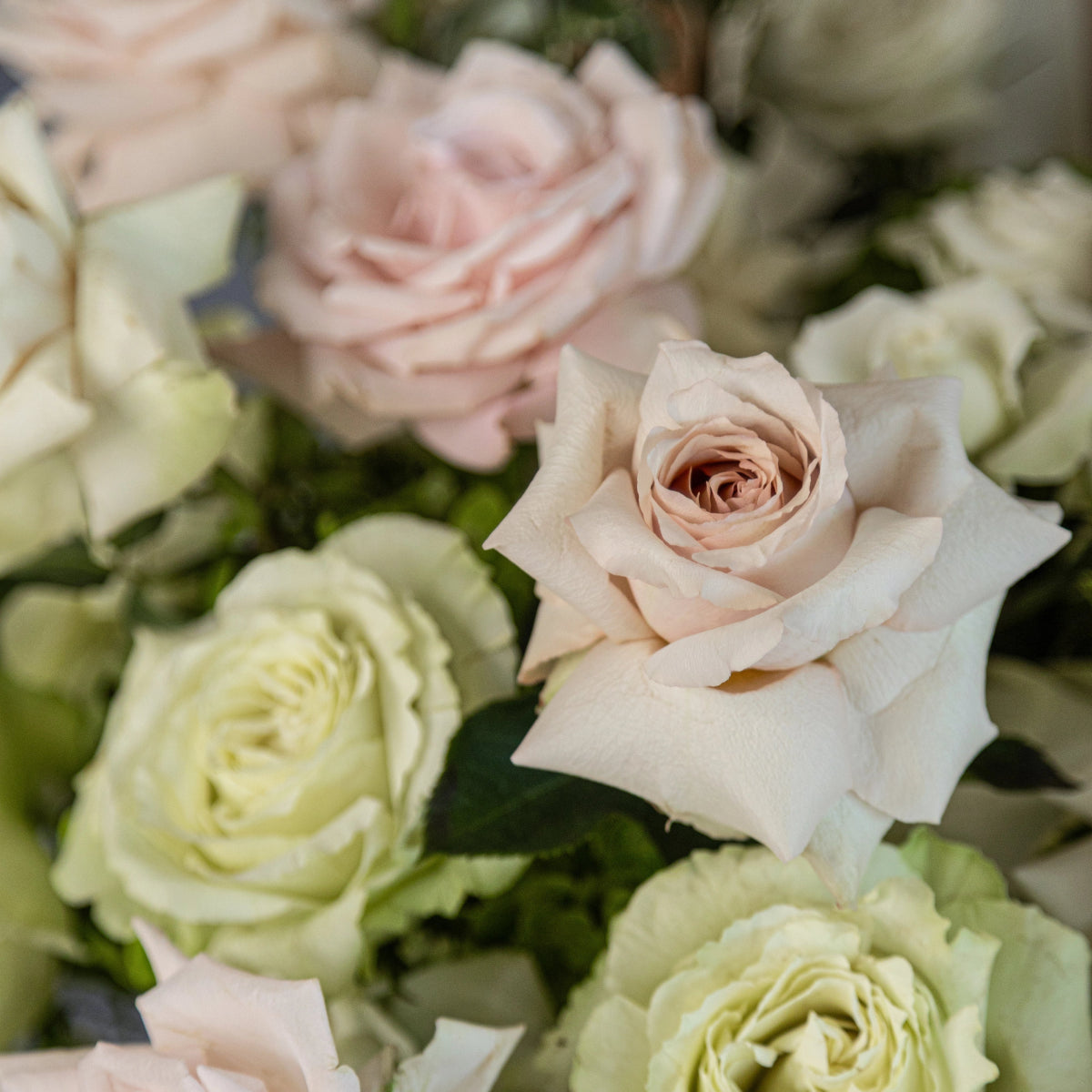 Flower box "Sweet Lemonade" with roses, hydrangea and orchid