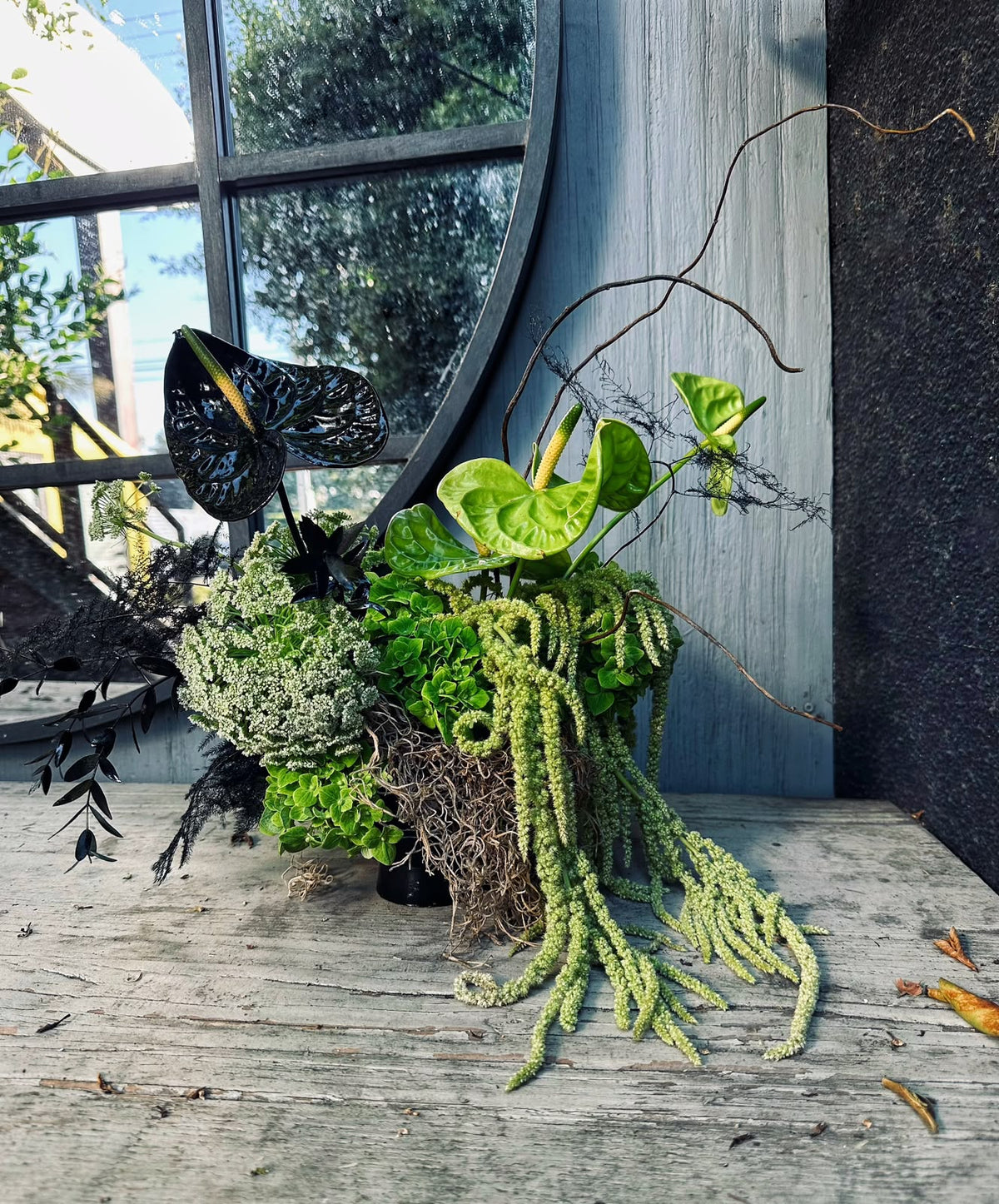 Spooky Pumpkin Garden