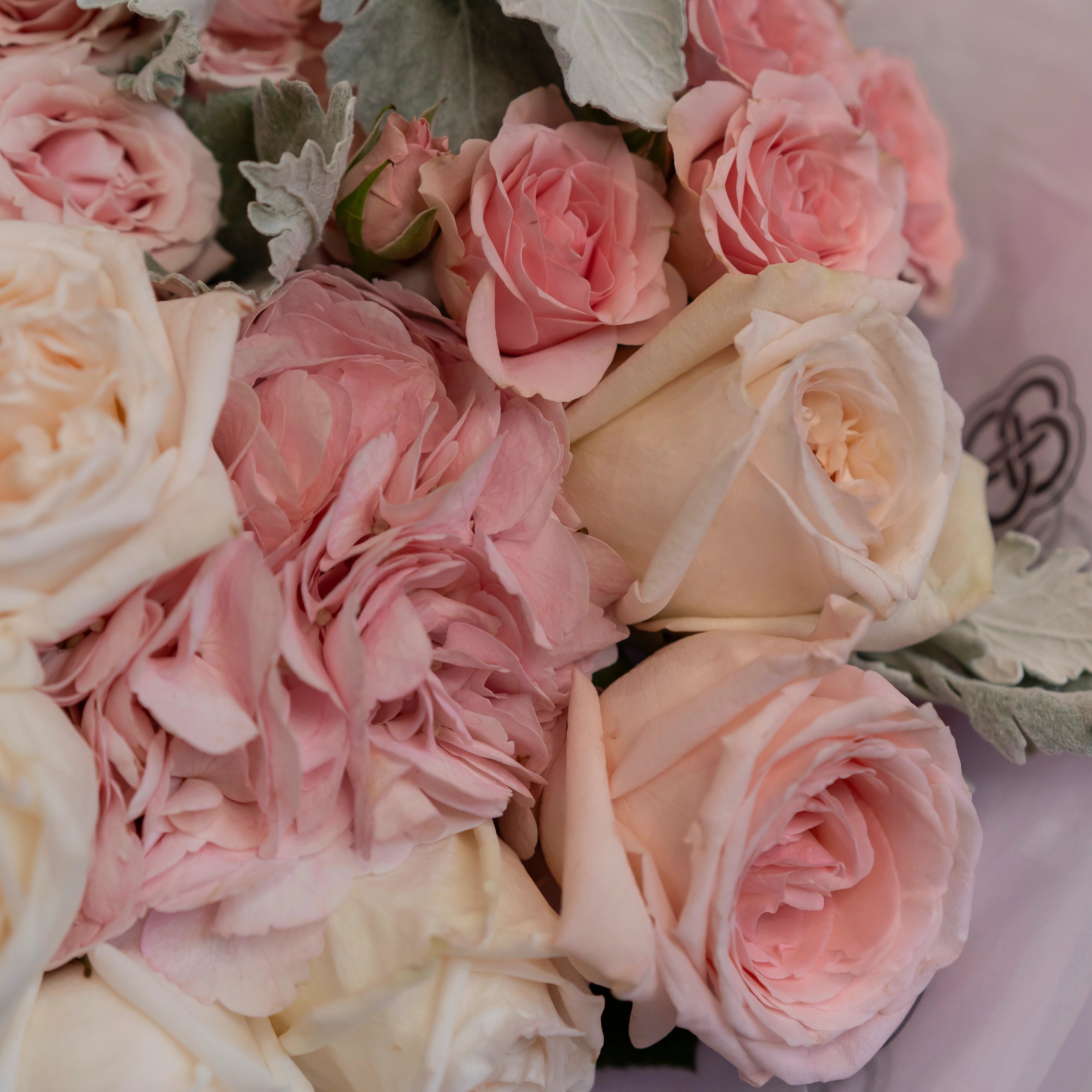 Blush pink and cream rose bridal bouquet with dusty miller and ranunculus flowers in romantic pastel tones