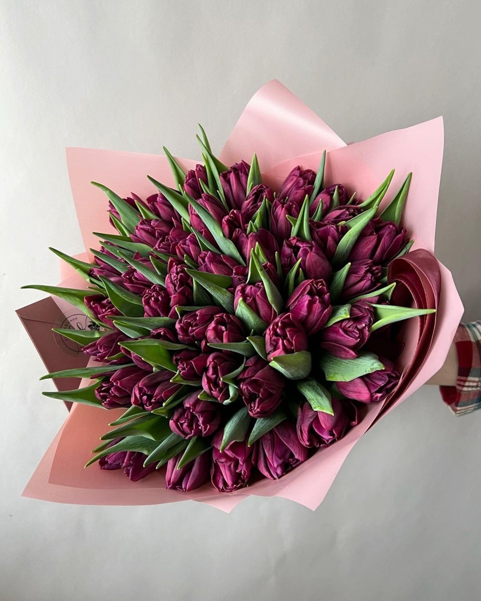 Bouquet of 50 burgundy tulips