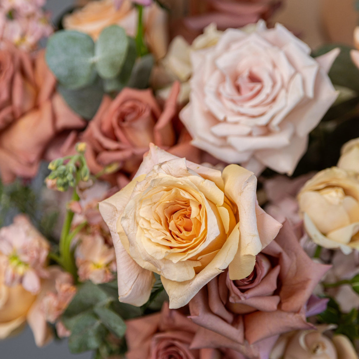 Pastel rose bouquet with cream, peach and dusty pink roses mixed with eucalyptus leaves in soft romantic arrangement