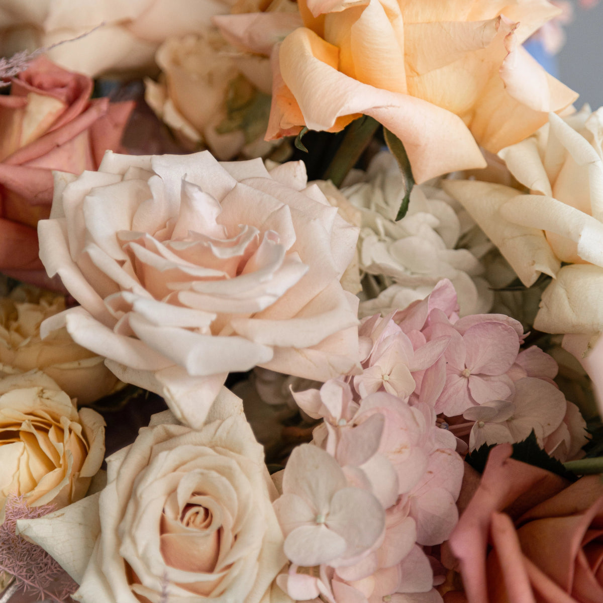 Soft pastel flower bouquet with blush pink roses, cream hydrangeas and peach blooms in romantic arrangement