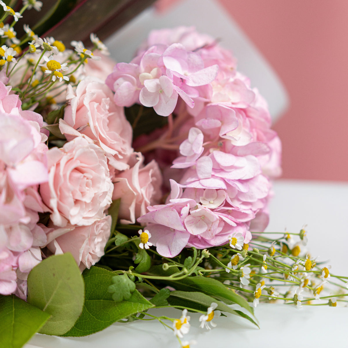 Pink roses and hydrangea bouquet with white chamomile daisies and green foliage on white surface