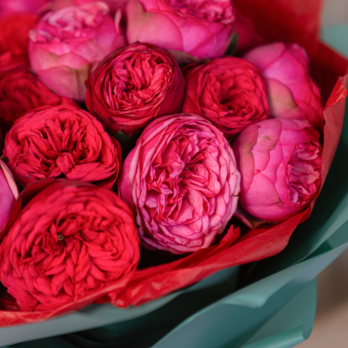 Red and pink piano roses bouquet with ruffled layered petals wrapped in red paper with teal ribbon