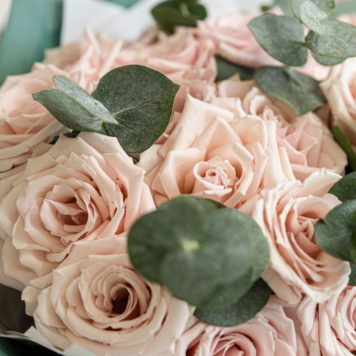 Soft pink roses bouquet with eucalyptus leaves arranged closely together in romantic floral arrangement