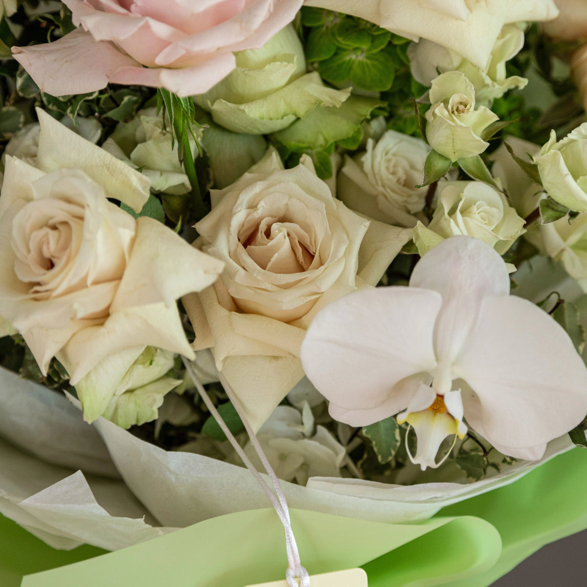 Elegant white and cream rose bouquet with pink orchid and green hydrangea wrapped in white tissue paper