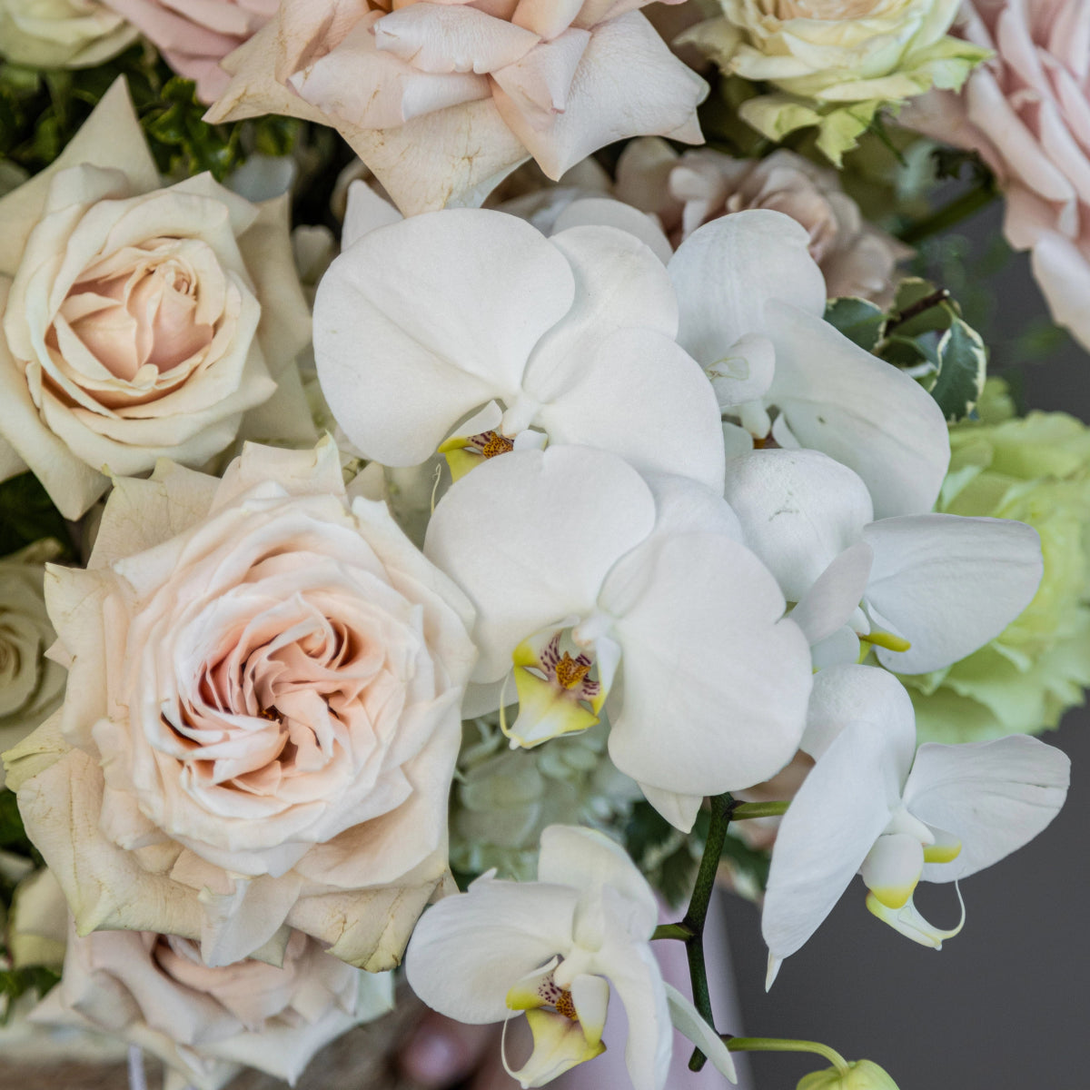Elegant white orchids and blush pink roses in soft pastel floral arrangement with green foliage