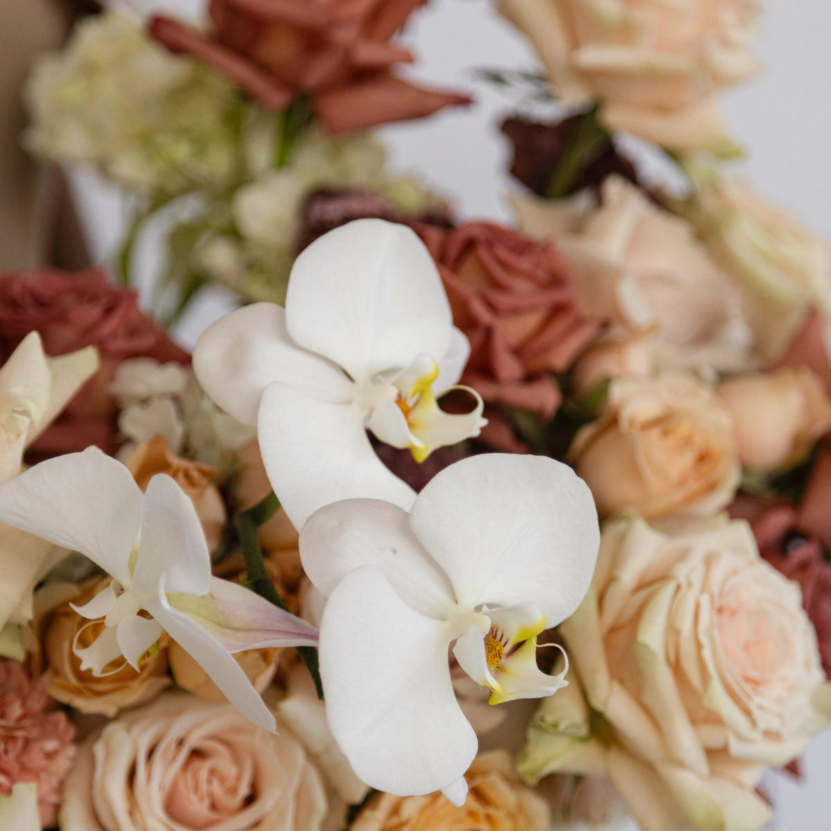 White orchids with yellow centers surrounded by peach roses and mixed florals in elegant floral arrangement