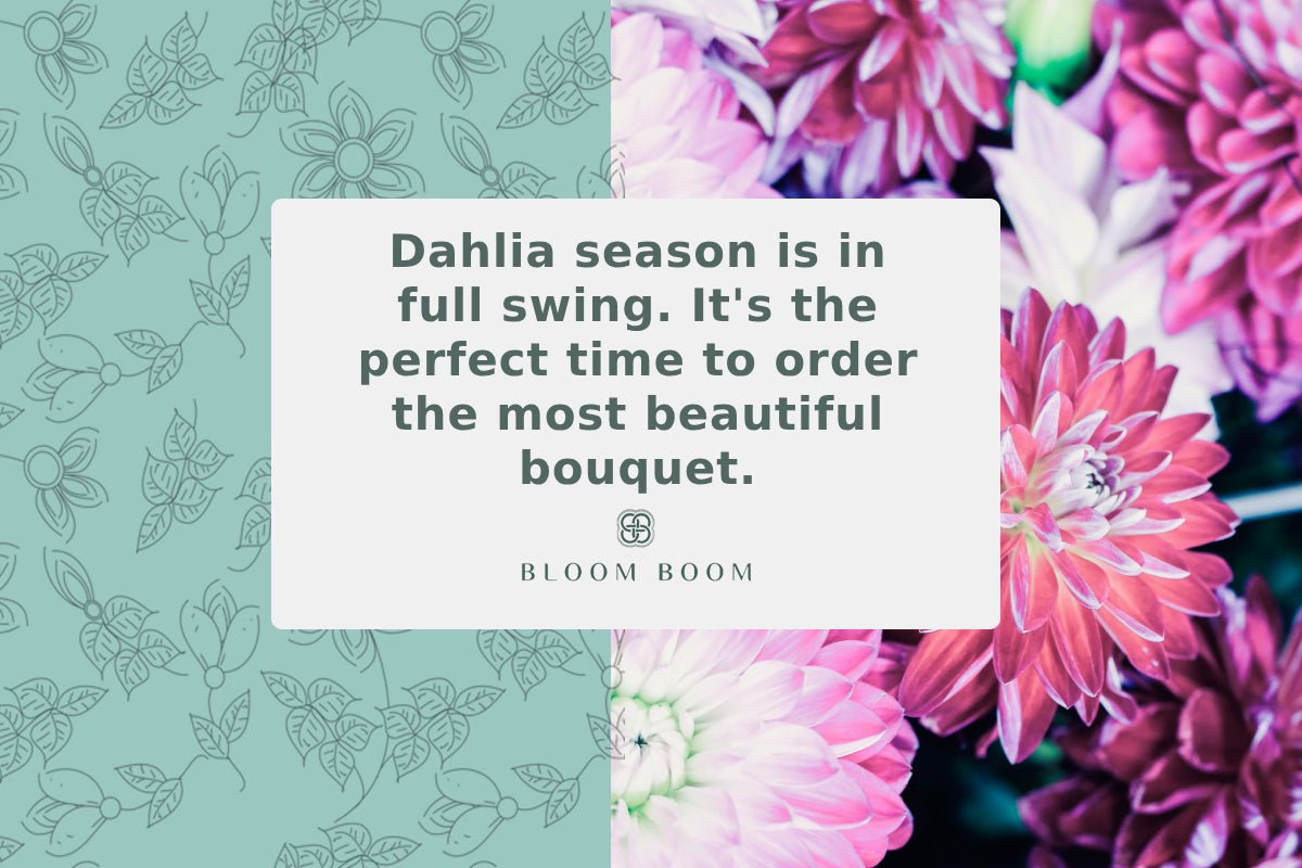 Dahlia season is in full swing. It's the perfect time to order the most beautiful bouquet