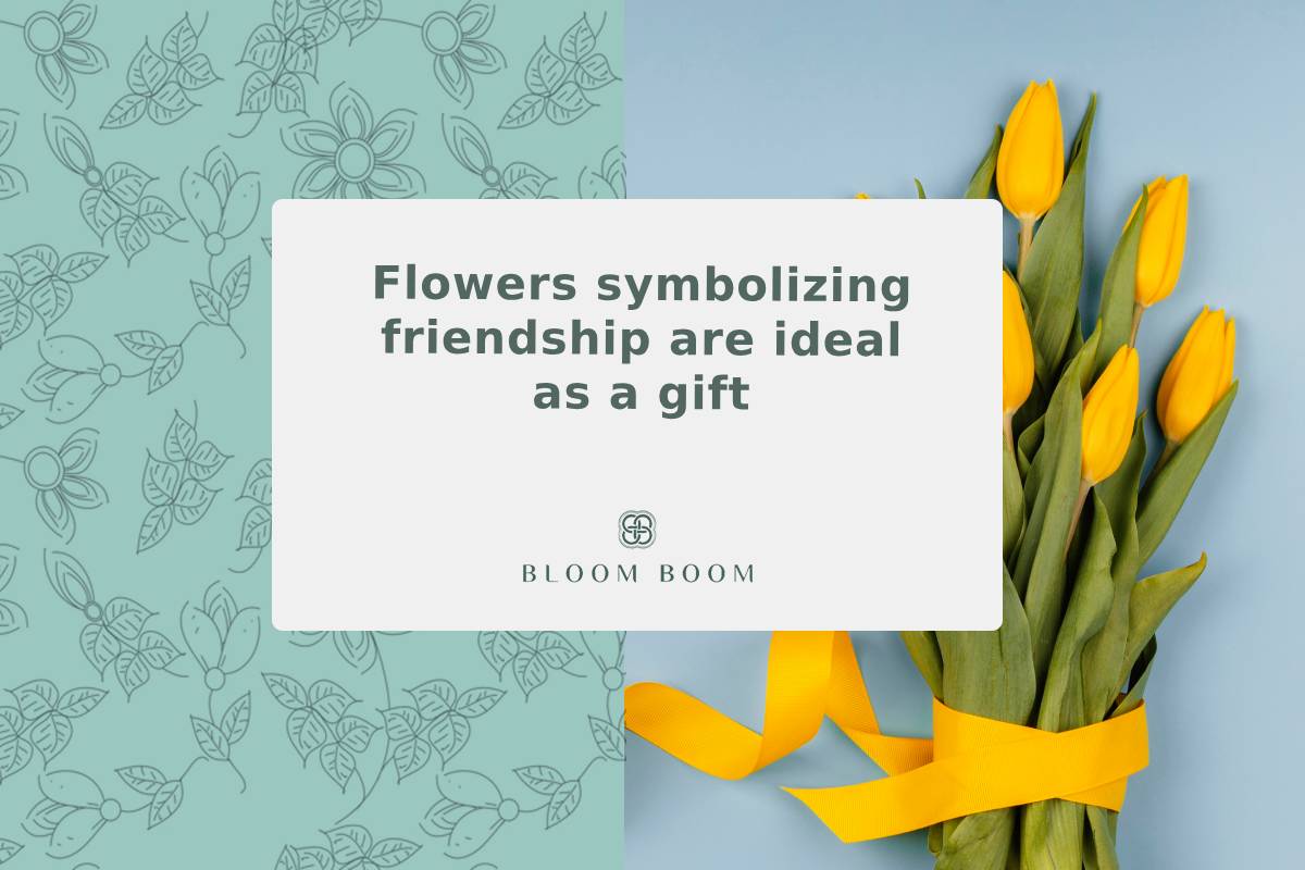 Flowers symbolizing friendship are ideal as a gift