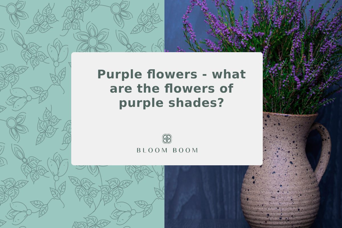 Purple flowers - what are the flowers of purple shades?