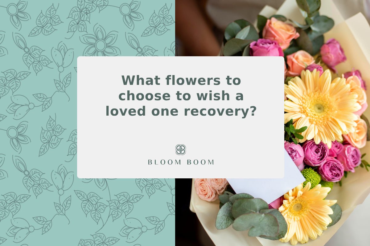 What flowers to choose to wish a loved one recovery?