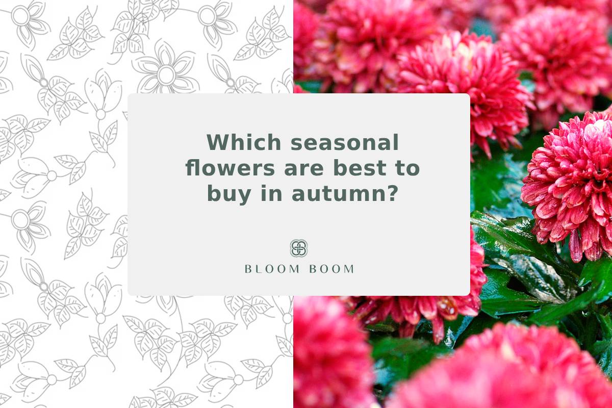 Which seasonal flowers are best to buy in autumn?