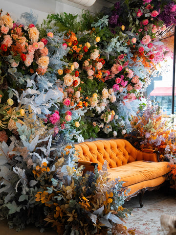 Oxipetalum - Bloom Boom Flowers