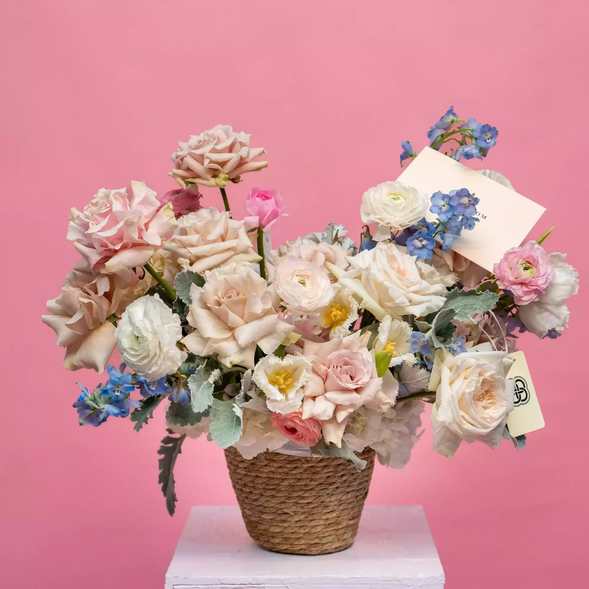 March 8th - International Women's Day Collection