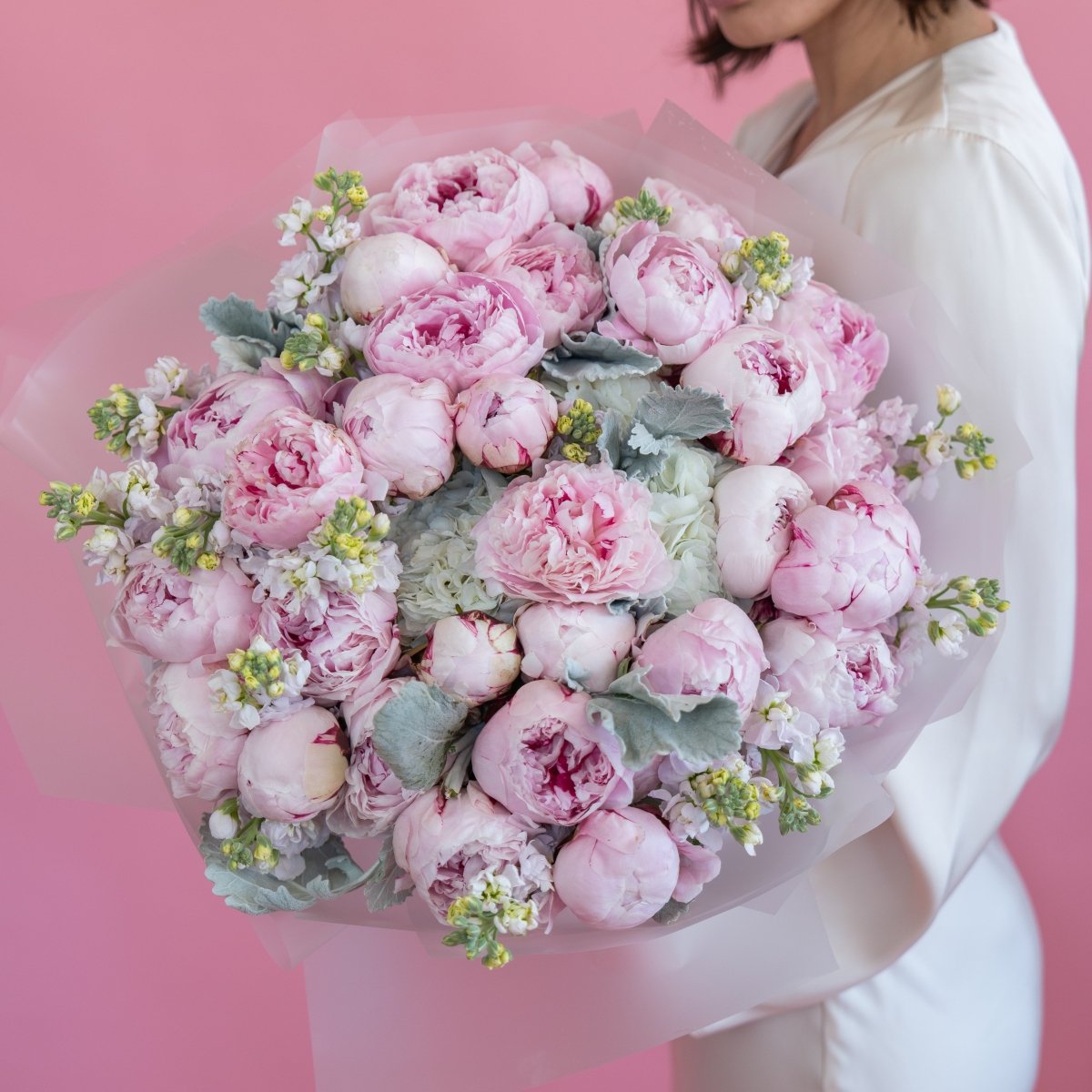 Woman holds bouquet of pink peonies with white stock and dusty miller