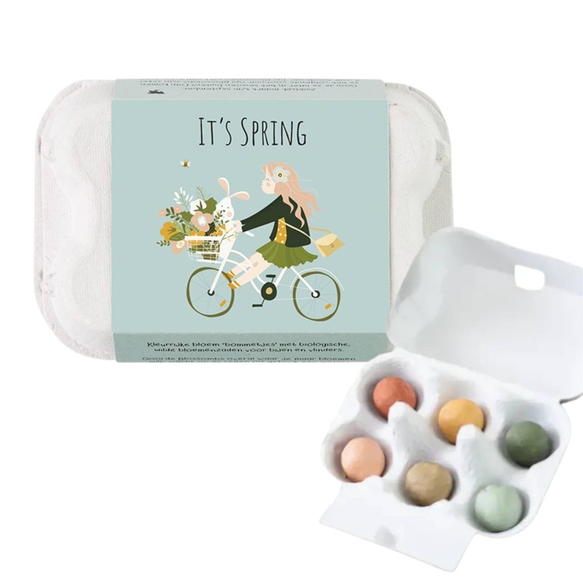 Egg Carton “It's Spring” – 6 Wildflower Seed Bombs Gift
