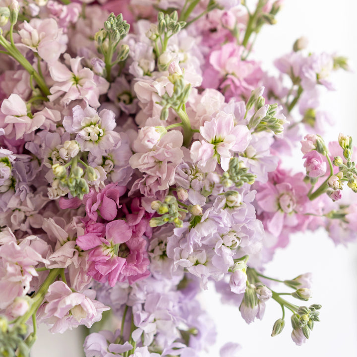 Bouquet with 40 stock light pink and lilac