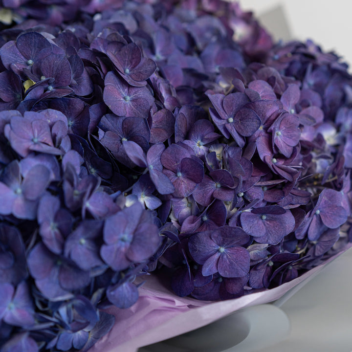 Bouquet with 10 / 15 / 20 lilac hydrangea flowers