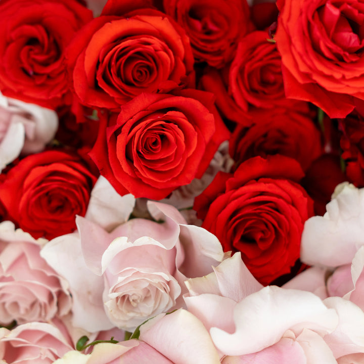 Flower box "Floristic Fountain" with red and pink roses