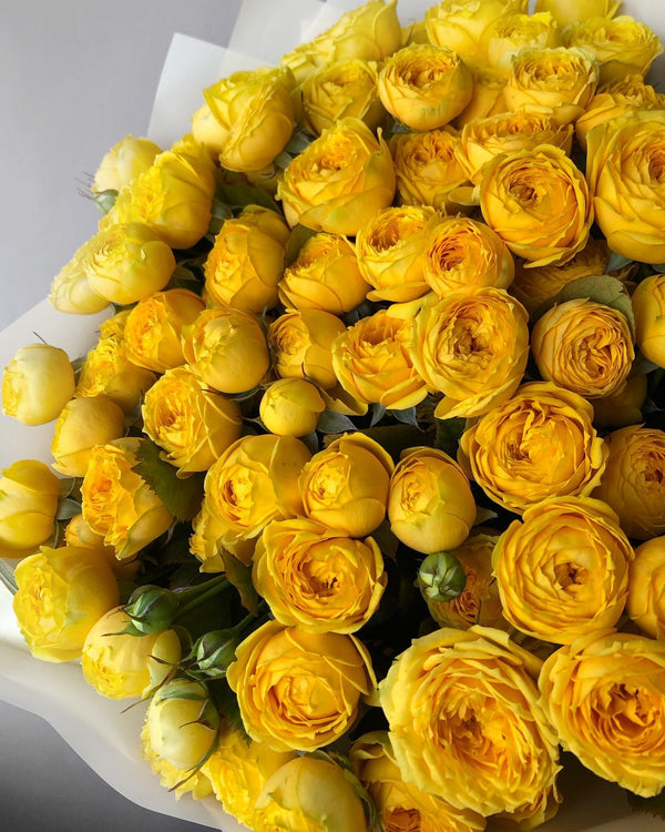 Monobouquet of yellow rose