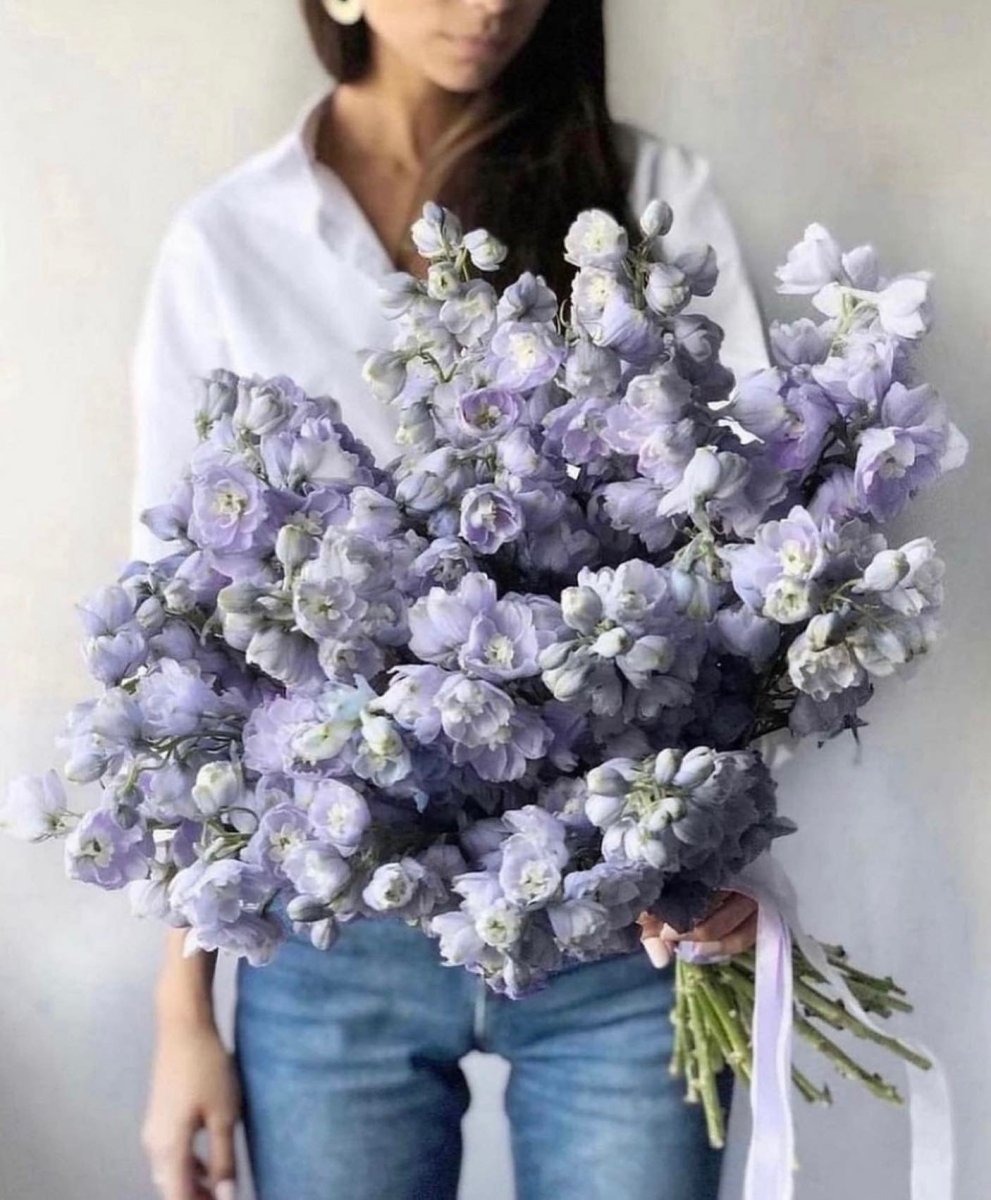 Bouquet of 17 delphinium