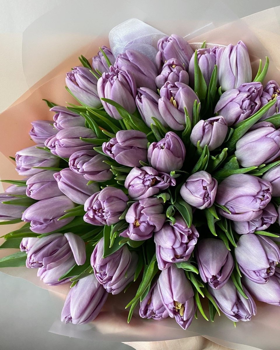 Bouquet with 51 purple tulips