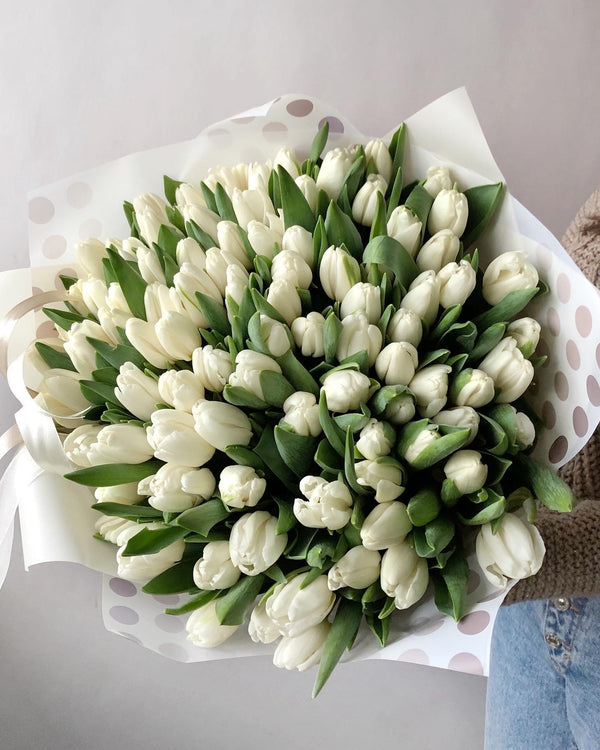 Monobouquet of 51 white tulips
