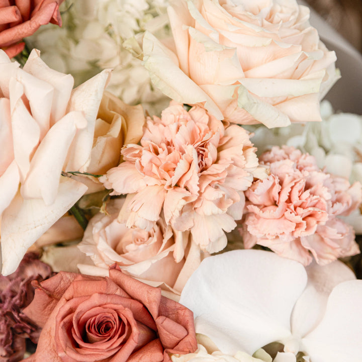 Caffè Latte Small Bouquet with white hydrangea and rose