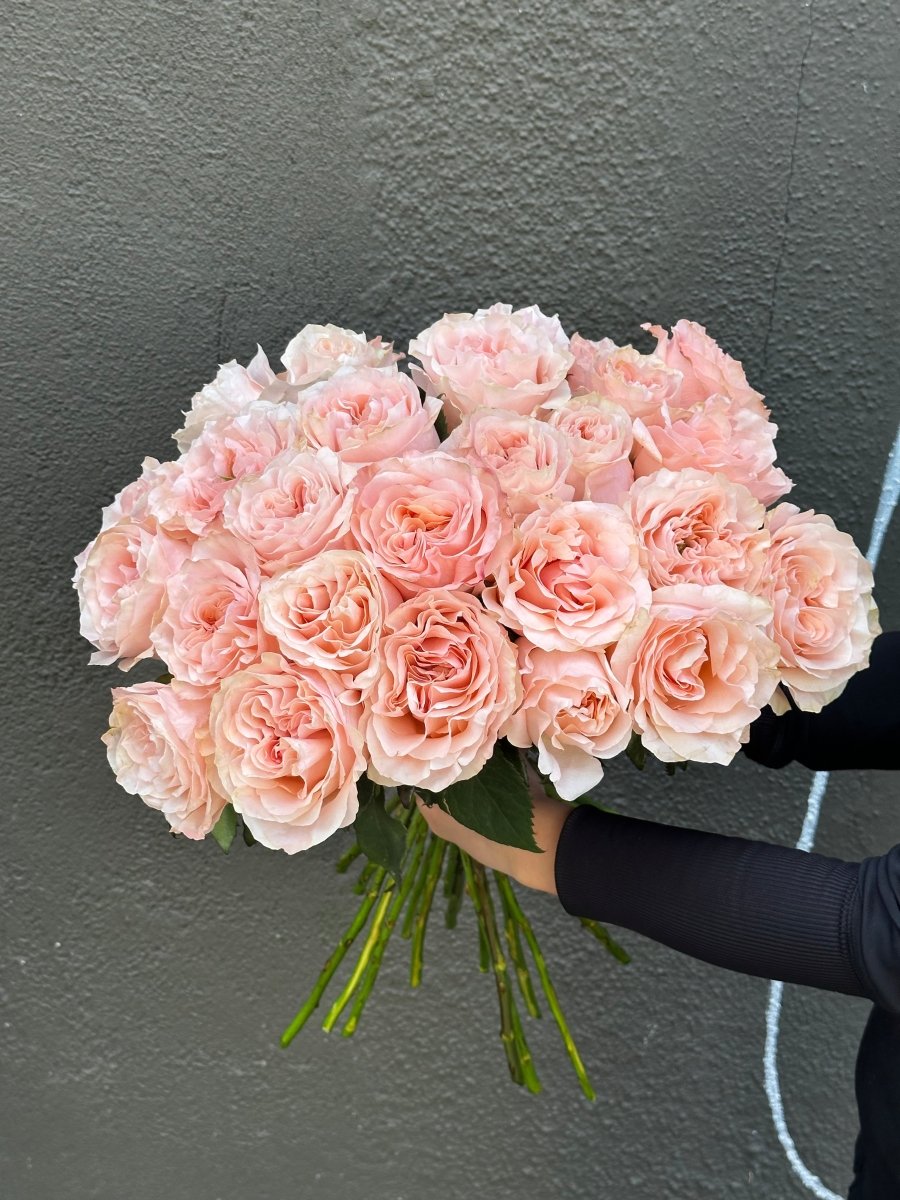 Princess Crown Garden Roses