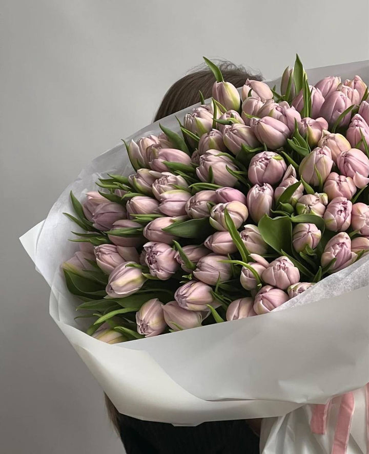Bouquet of 75 light pink tulips