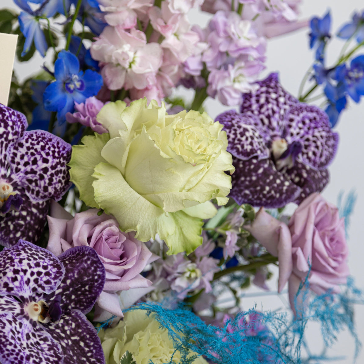 Basket Ocean Breeze with rose and orchid