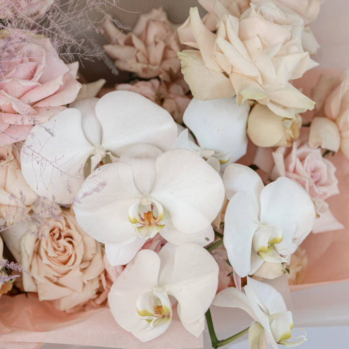 Bouquet Sweet Escimo Small with hydrangea and orchid