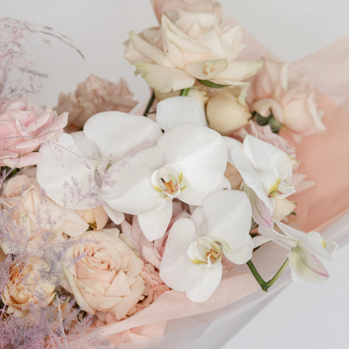 Bouquet Sweet Escimo Small with hydrangea and orchid