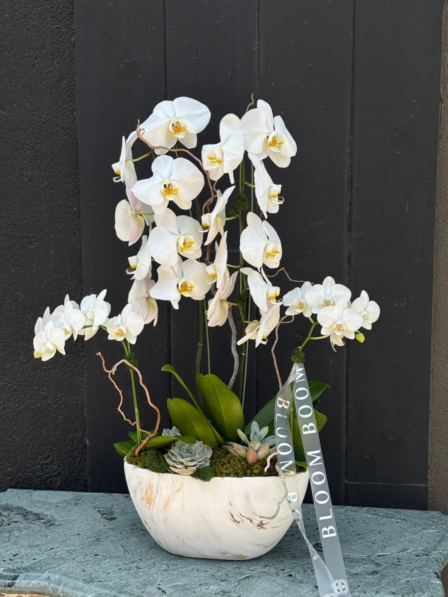 The Grand Cascade Orchid Boat