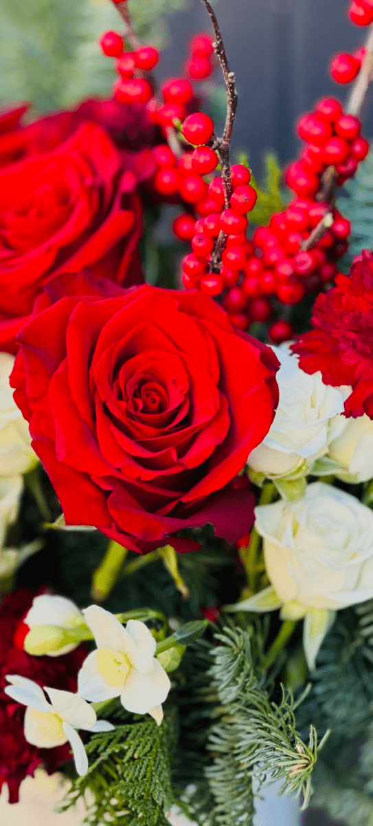 Crimson And Cream Holiday Classic