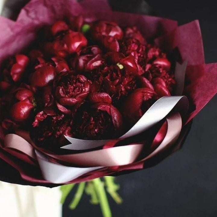 Burgundy peonies