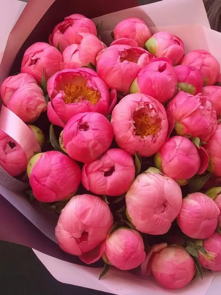 Coral peonies bouquet