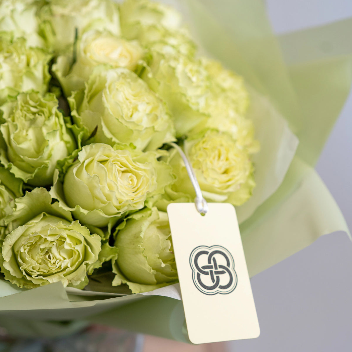 Fresh lime green roses bouquet wrapped in white paper with branded gift tag