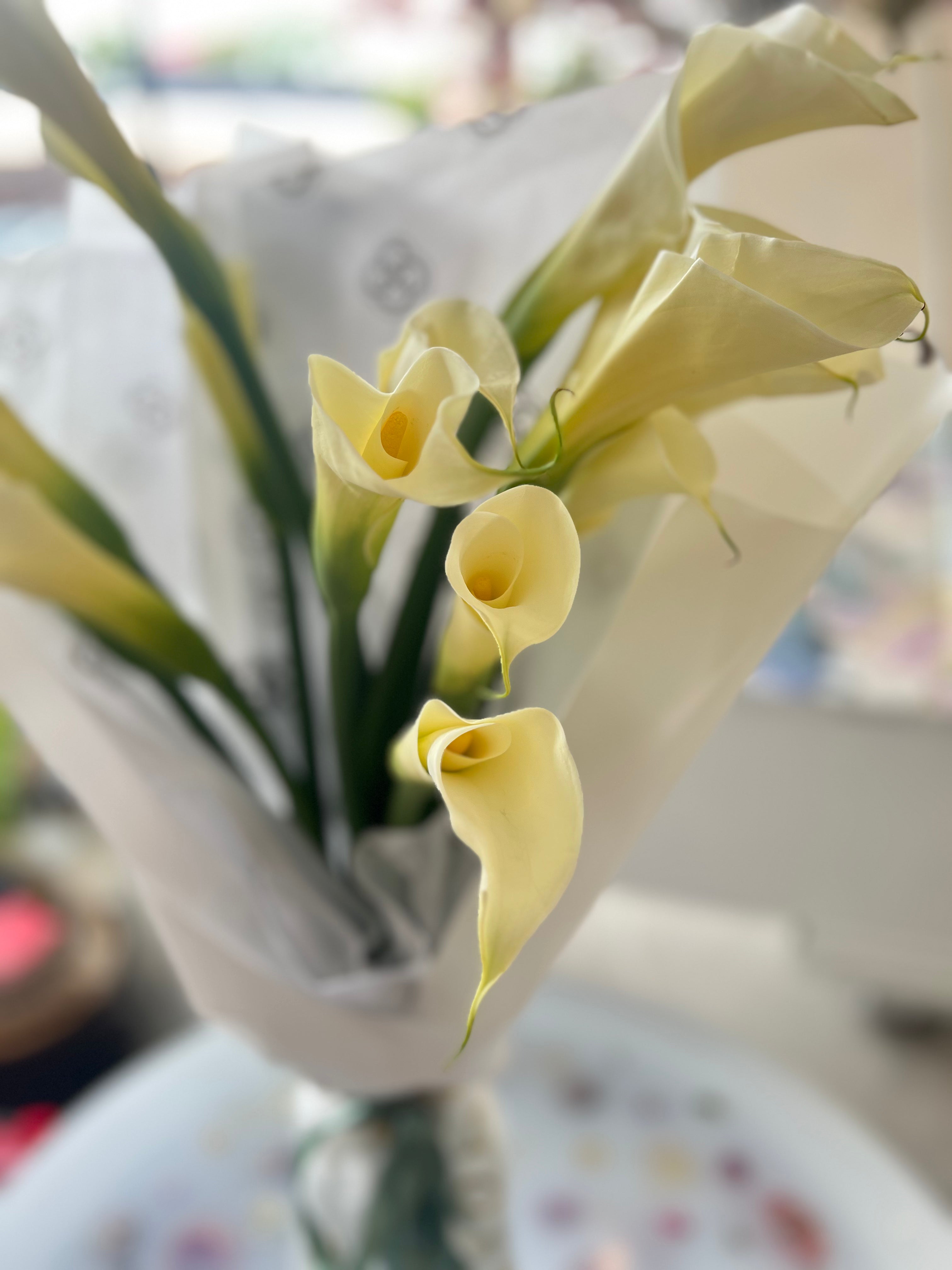 Pale yellow calla lilies in clear glass vase arrangement with green stems, elegant floral centerpiece