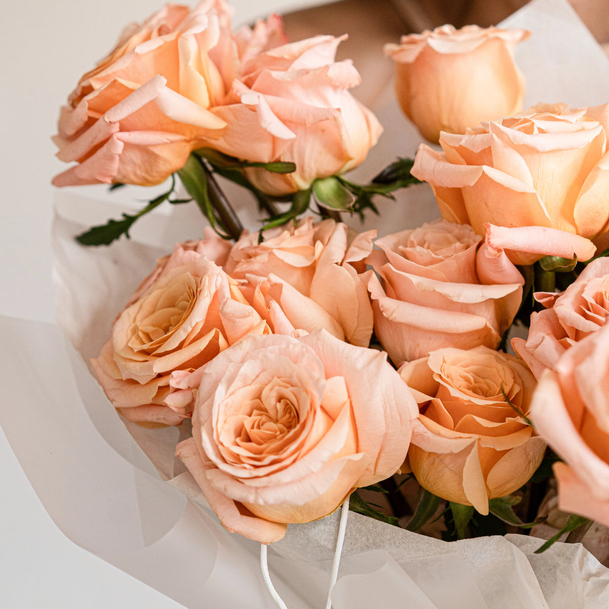 Soft peach roses bouquet wrapped in white paper with green stems, featuring layered ruffled petals