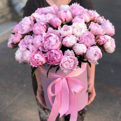 Flower box of 50 pink peonies