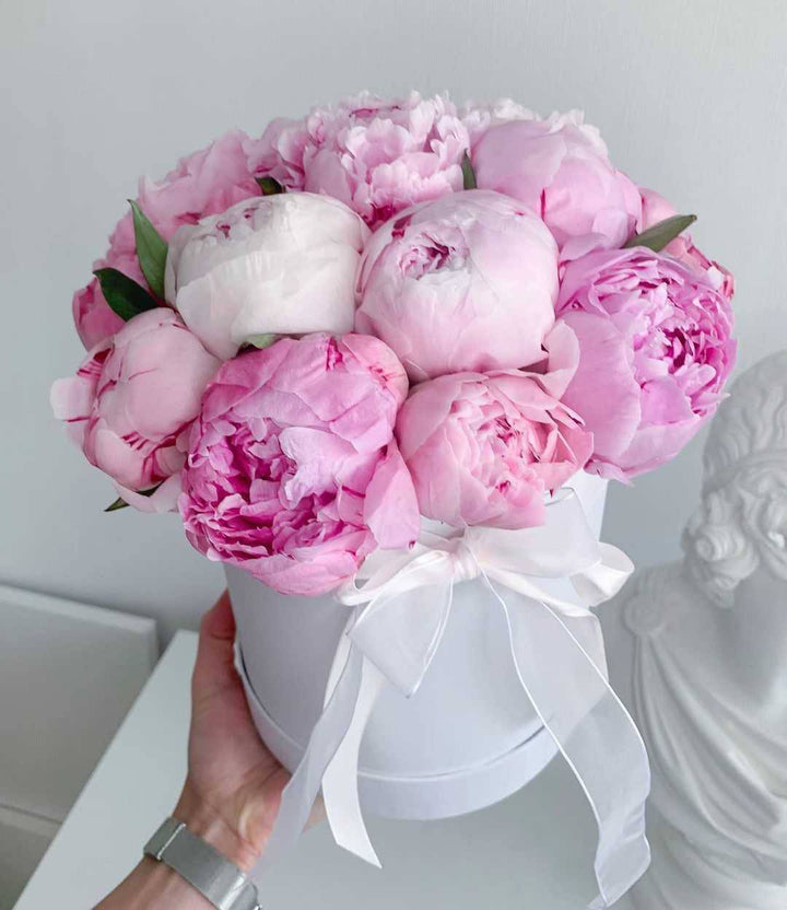 Box of 15 peonies