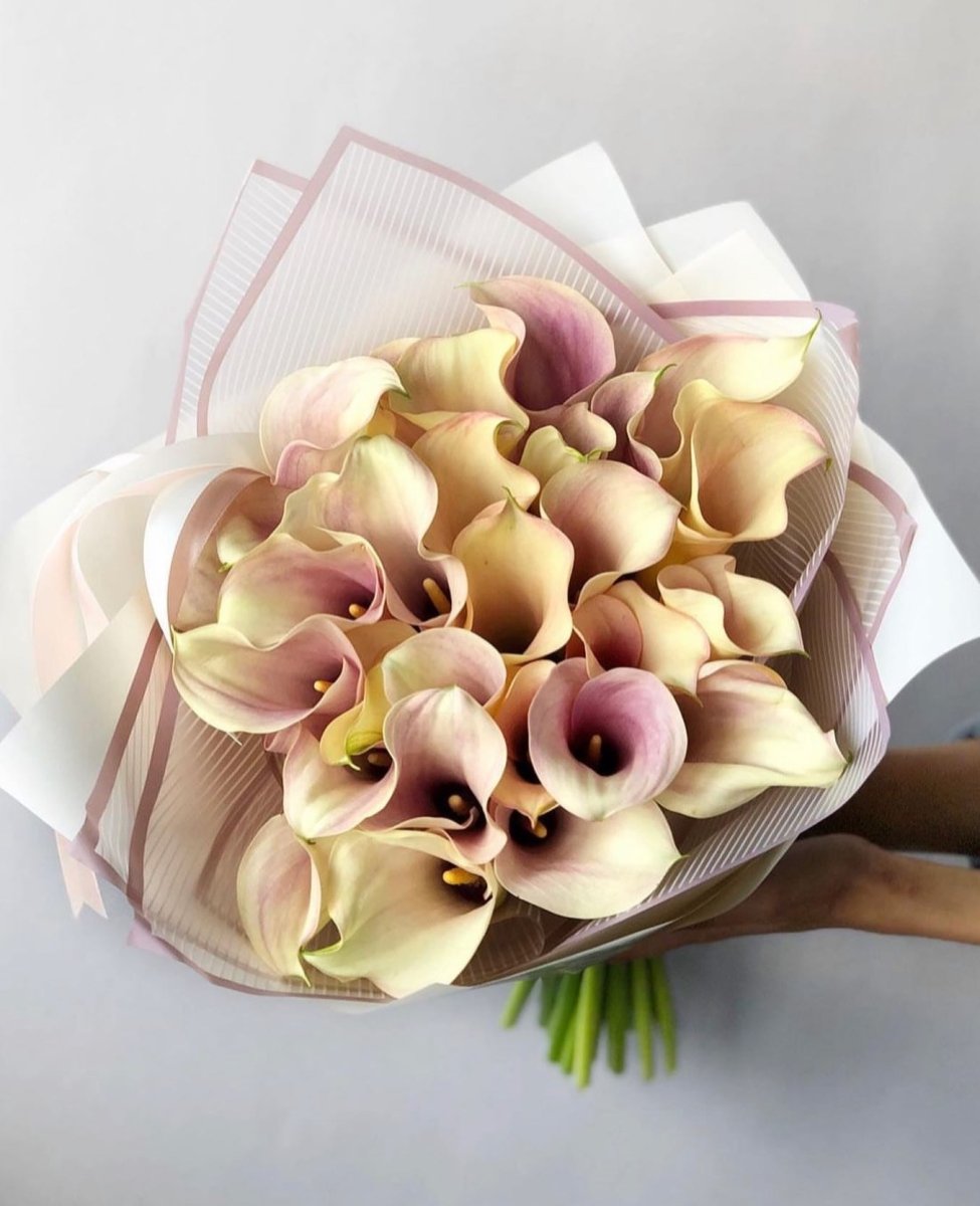 Pink and cream calla lily bouquet wrapped in white mesh paper with purple ribbon ties