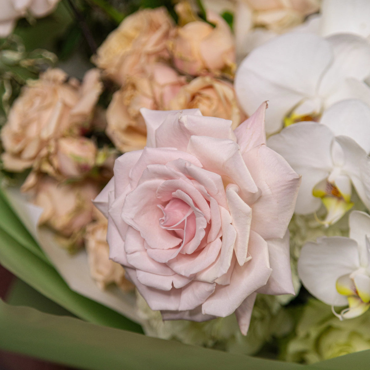 Soft pink rose centerpiece in mixed flower bouquet with white orchids and cream roses on green stems