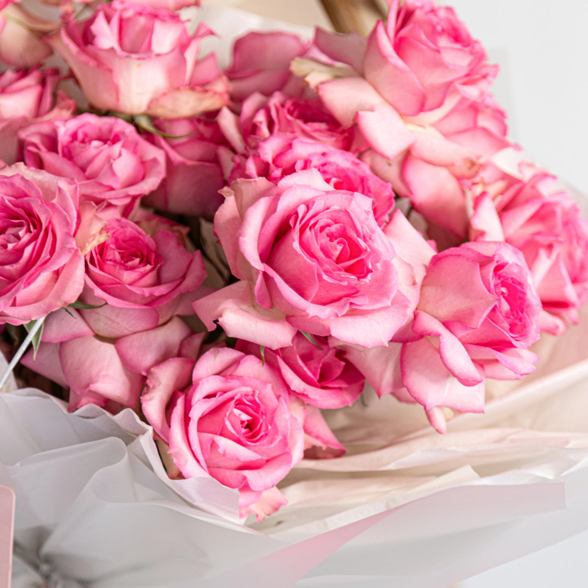 Fresh pink roses arranged in white tissue paper wrapping, displaying layered petals in soft pink and coral tones