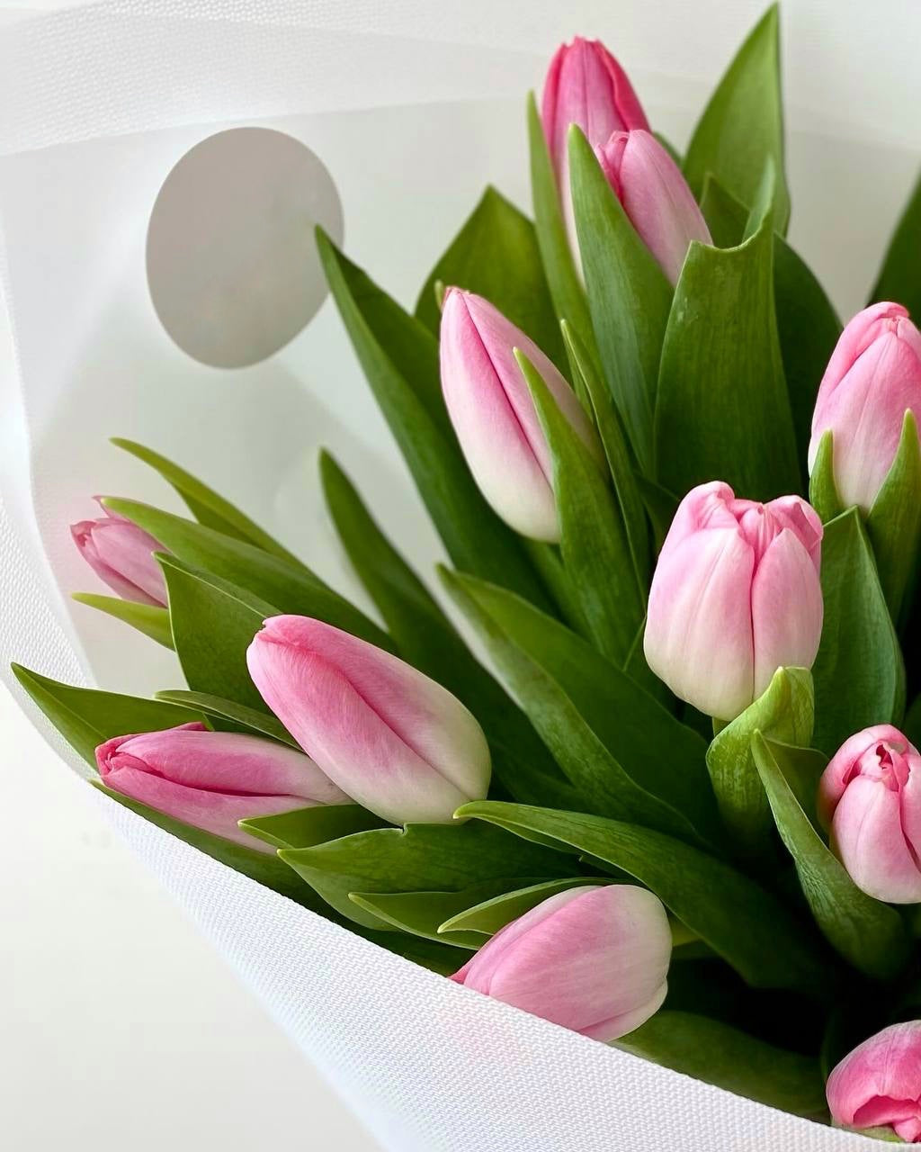 Pink and white tulip bouquet wrapped in white paper with green stems and leaves for spring delivery
